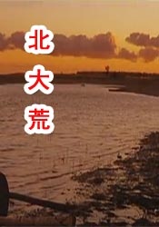 赛罗免费观看中文版